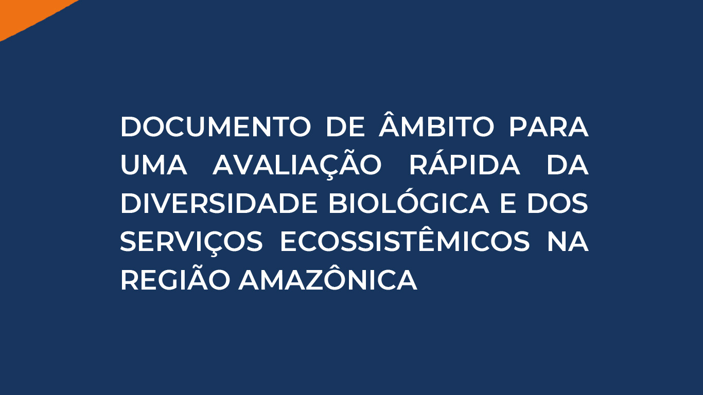 Documento de Escopo da Avaliação Rápida da Diversidade Biológica e dos Serviços Ecossitêmicos na Região Amazônica