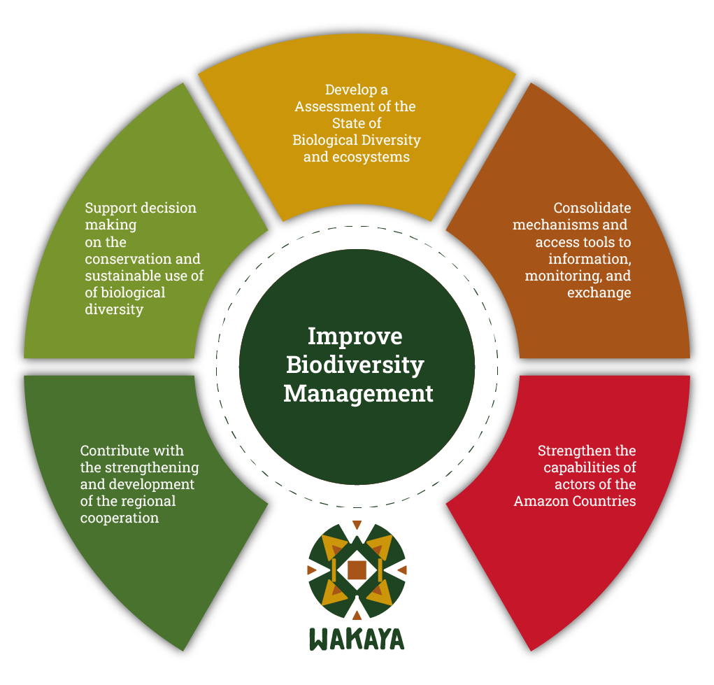 Site produtos novos-09