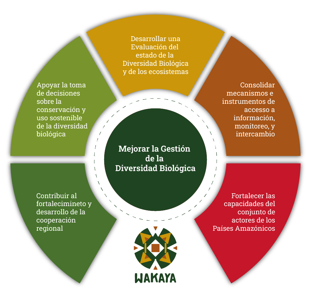 Site produtos novos_Objetivos do programa